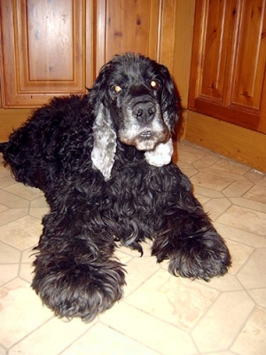 Charlie