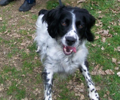 jaxx