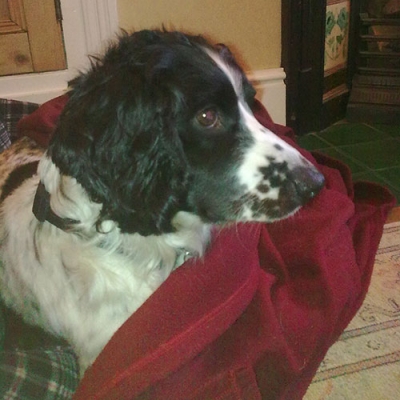 Harry