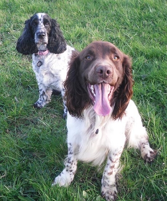 Riley and Maisie