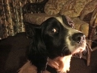 George