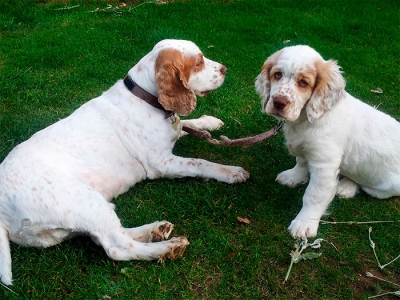 Louie and Lola
