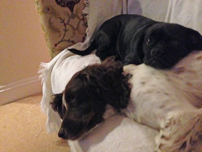Jess & Pud
