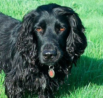 Max