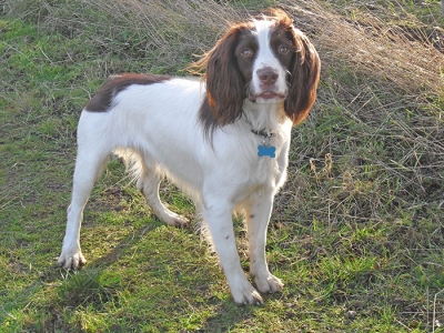 Billy