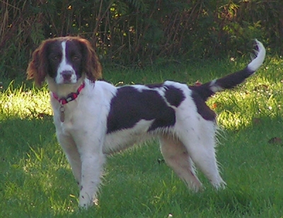 Ruby