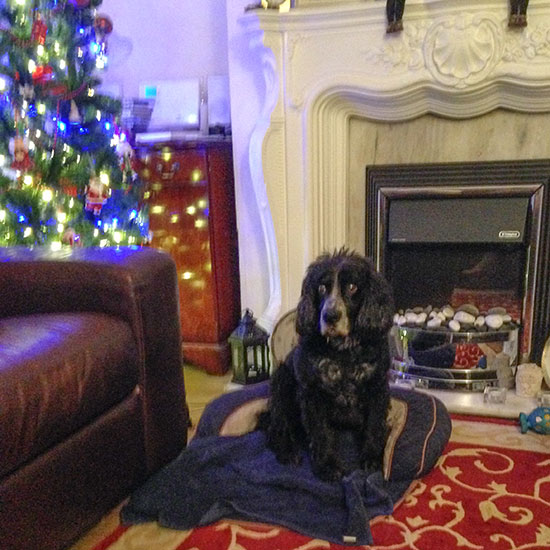 Monty