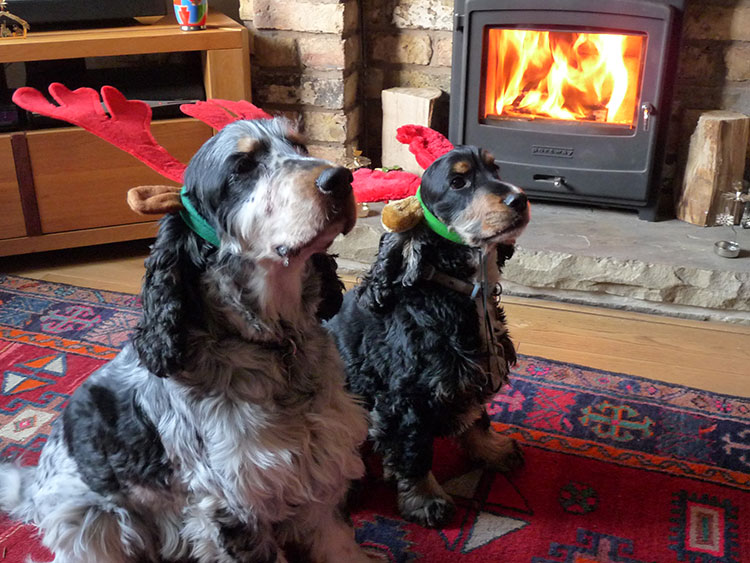 Rufus & Millie