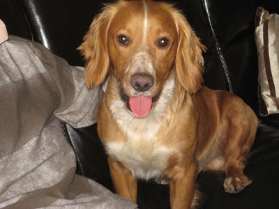 Sammy