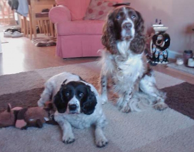 Sophie and Toby