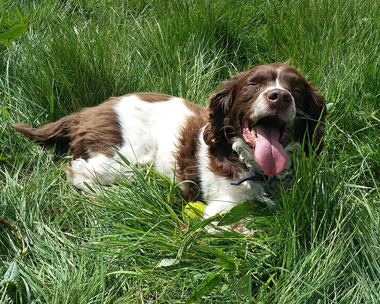 Monty