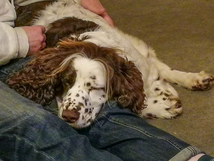 Peggy
