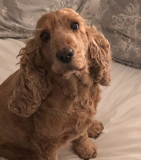 Molly