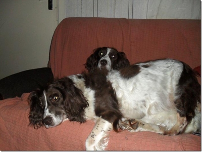Lucy and Sadie