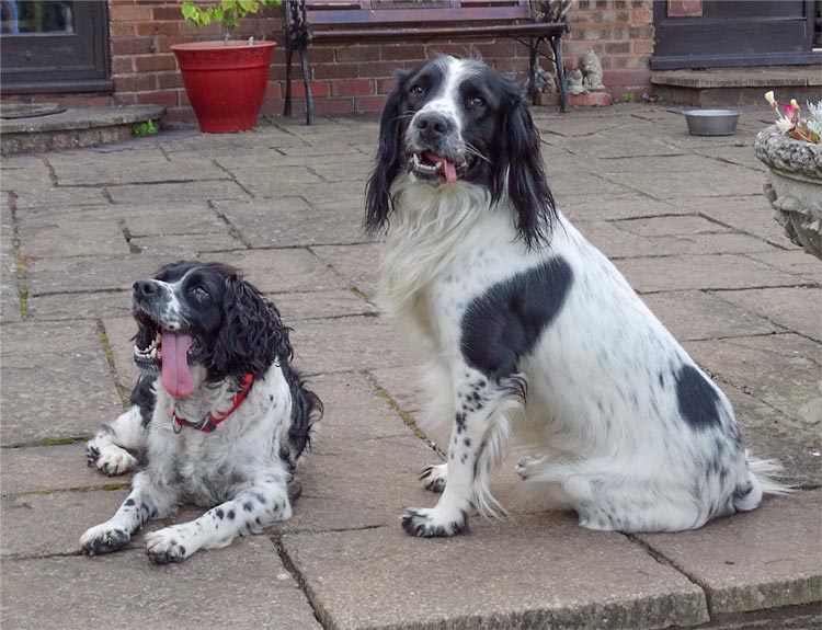 Jess & Alfie