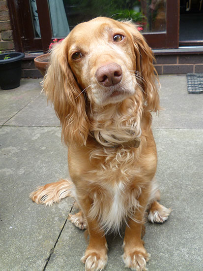 Charlie