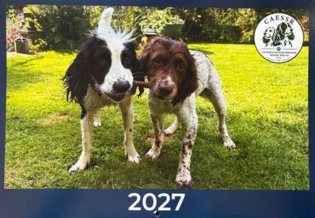 The printed cover of the CAESSR 2027 calendar
