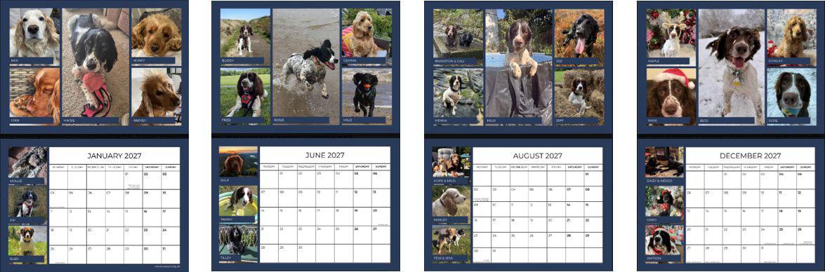 Four spreads from inside the CAESSR 2027 calendar: January, June, August and December