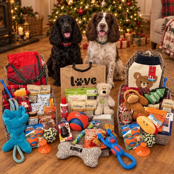 Illustration of the three Christmas raffle hampers with a black cocker spaniel and a springer spaniel